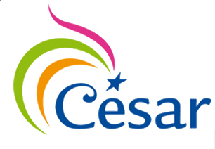 Cession des actifs américains et asiatiques de Groupe César à Jakks Pacific
